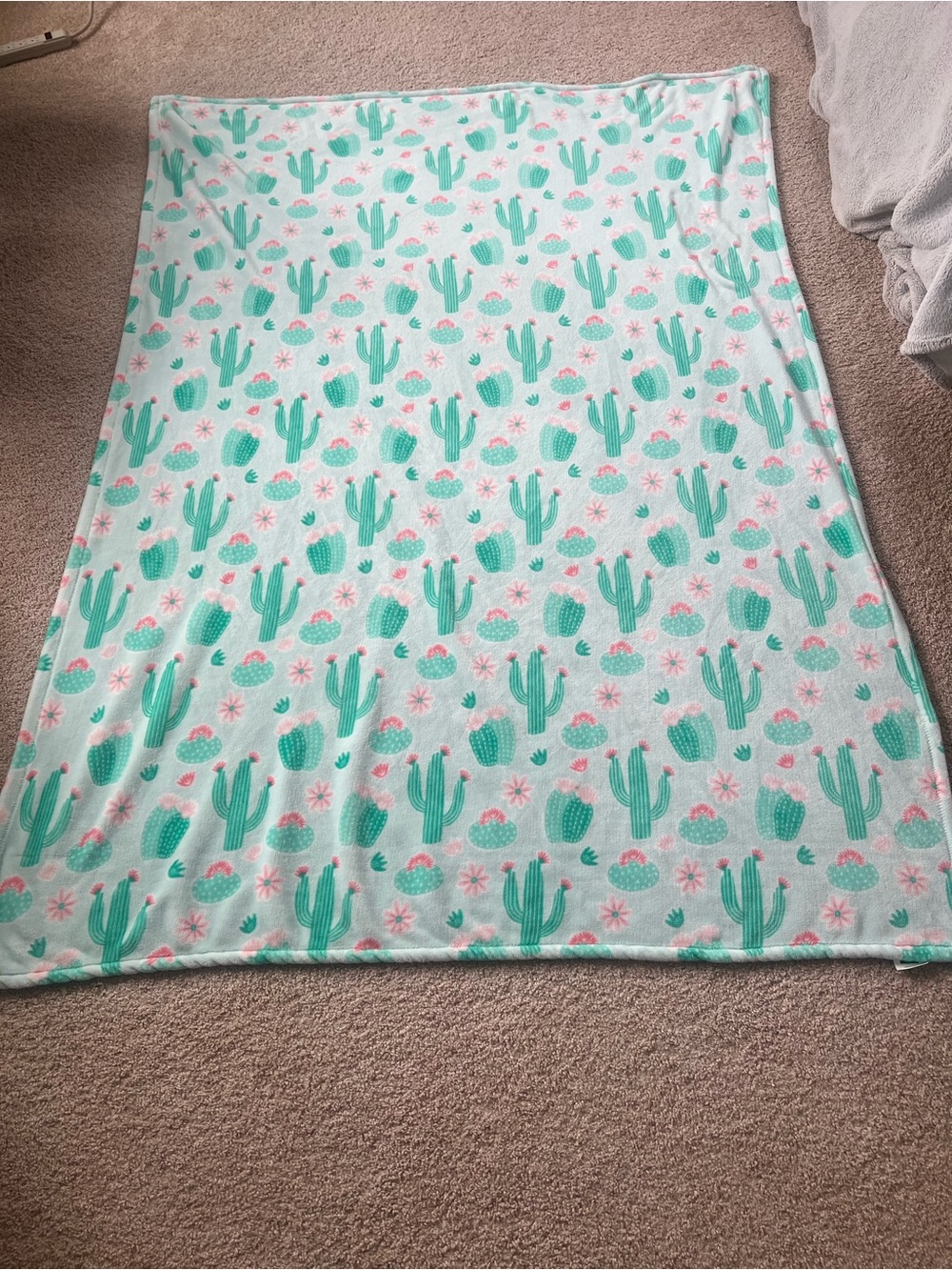The Big One Mint Green Cactus Print Plush Throw